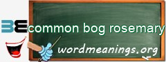 WordMeaning blackboard for common bog rosemary